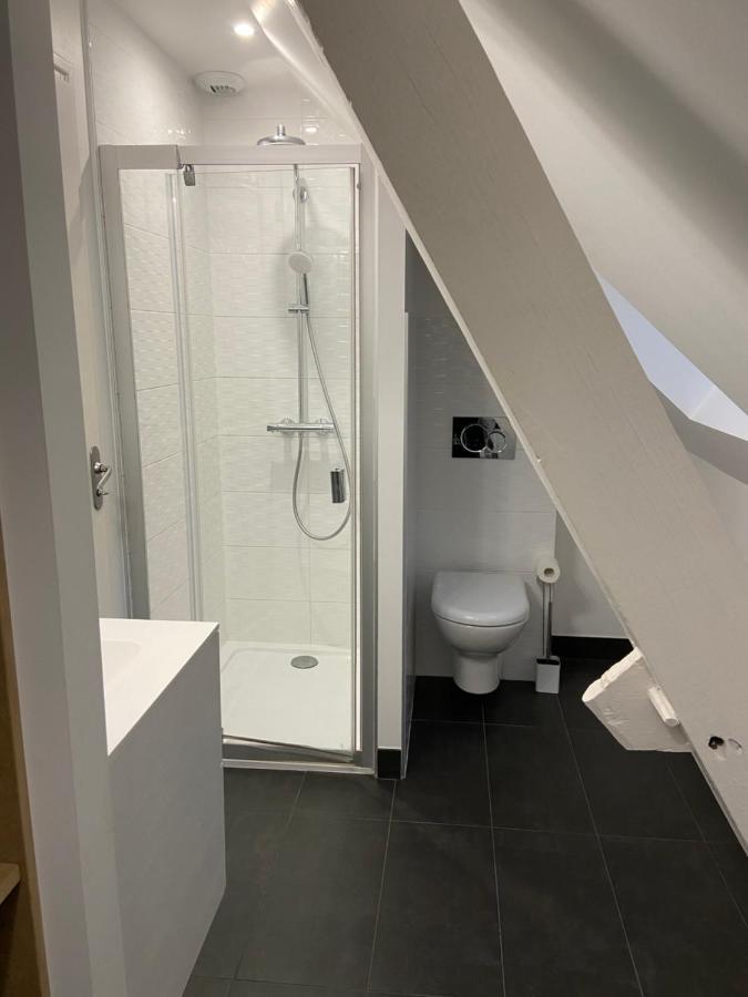 Appartement Du Chateau De La Caillerie Avoine Kültér fotó