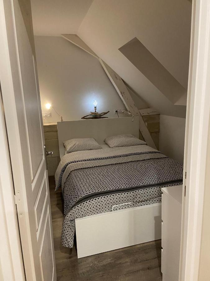 Appartement Du Chateau De La Caillerie Avoine Kültér fotó